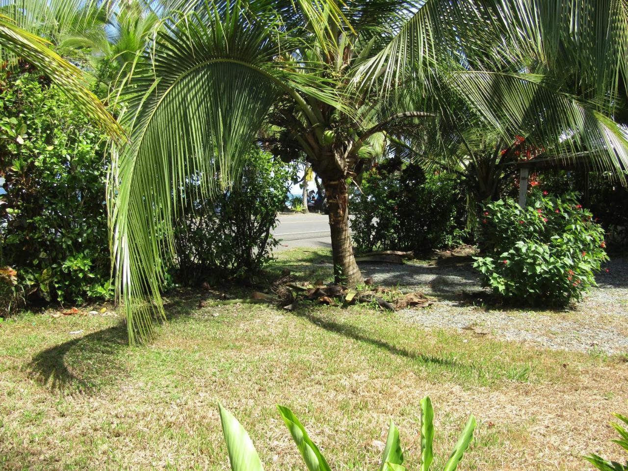 Pineapple House Manzanillo Villa Exteriör bild